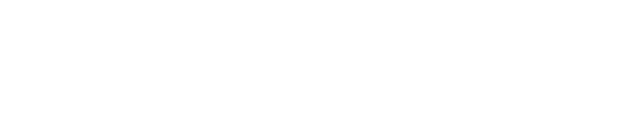 INLAY